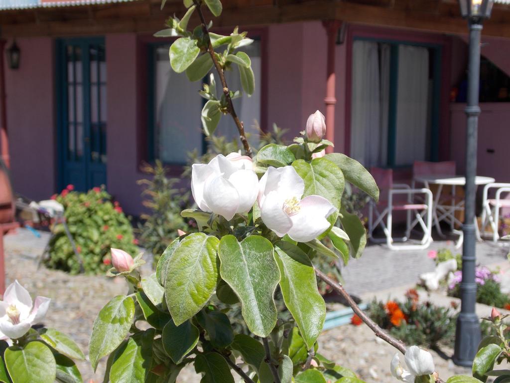 Posada Caracoles Puerto Piramides Ngoại thất bức ảnh