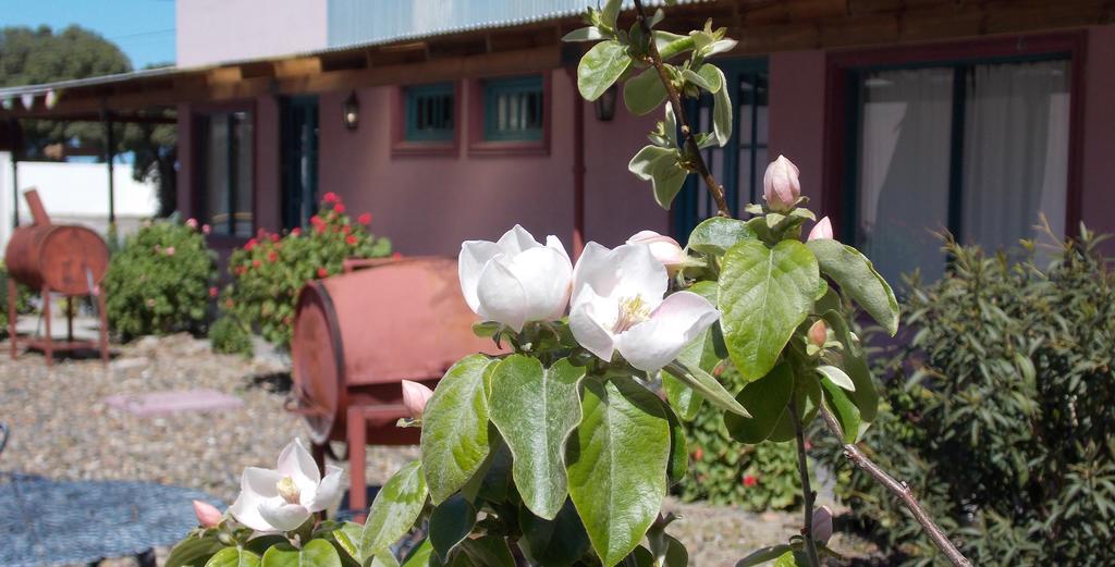 Posada Caracoles Puerto Piramides Phòng bức ảnh